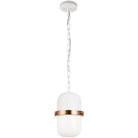 Matteo Lighting - Tillie Pendant - C73801WHOP - Canada Light Shop