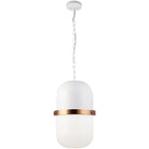 Matteo Lighting - Tillie Pendant - C73803WHOP - Canada Light Shop