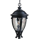 Maxim Lighting - Camden VX Outdoor Hanging Lantern - 41429WGBK - Canada Light Shop
