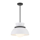 Meridian Lite Trends - Meridian Pendant - M7026MBK - Canada Light Shop
