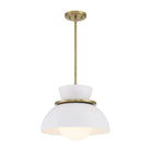 Meridian Lite Trends - Meridian Pendant - M7026NB - Canada Light Shop