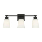 Meridian Lite Trends - Meridian Three Light Bathroom Vanity Light - M80055MBK - Canada Light Shop