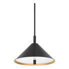 Mitzi - Brianna Pendant - H629702-GL/SBK - Canada Light Shop