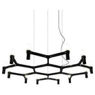 Nemo Lighting - Crown Plana Minor Pendant - CRO HNW 55 - Canada Light Shop