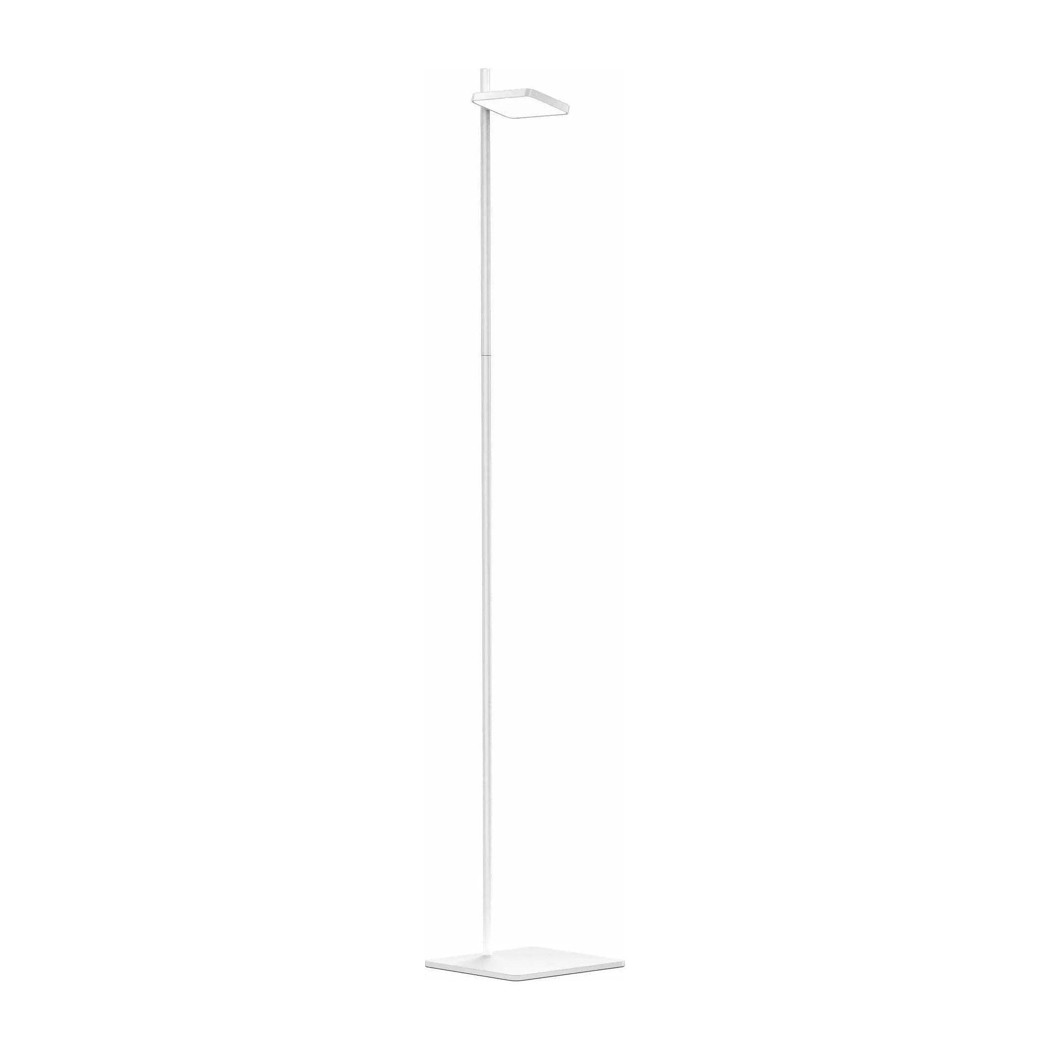 Pablo Designs - Talia Floor Lamp - TALI FLR WHT - Canada Light Shop
