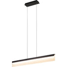 PageOne Lighting - Lange Linear LED Pendant - PP020024-BBK - Canada Light Shop