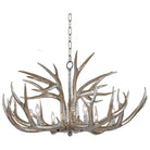 Regina Andrew - Antler Chandelier - 16-1064 - Canada Light Shop