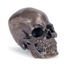 Regina Andrew - Metal Skull Sculpture - 20-1034BZ - Canada Light Shop