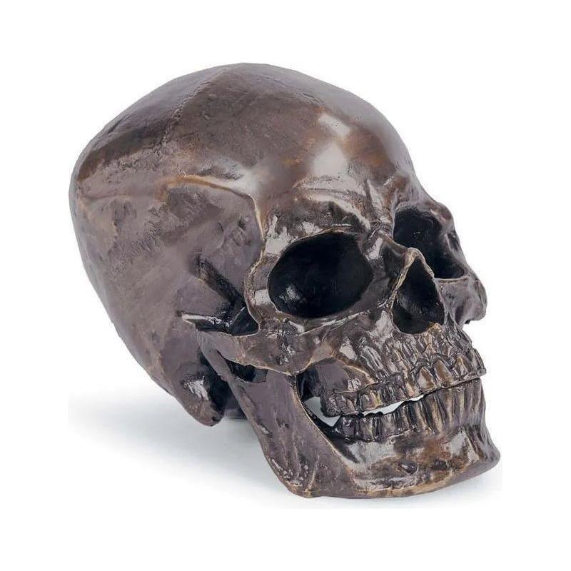 Regina Andrew - Metal Skull Sculpture - 20-1034BZ - Canada Light Shop