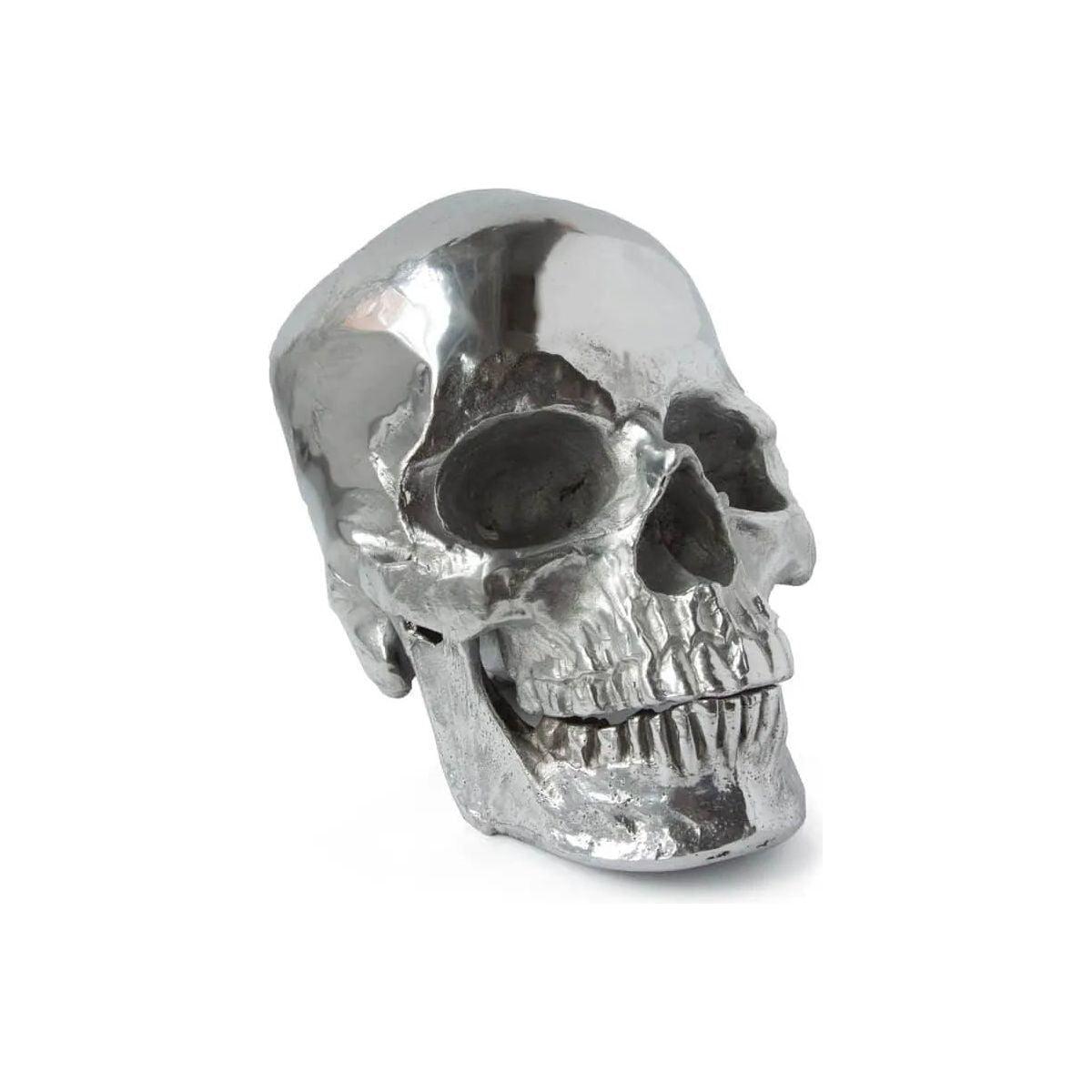 Regina Andrew - Metal Skull Sculpture - 20-1034PN - Canada Light Shop