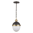 Regina Andrew - Otis Pendant - 16-1117BBNB - Canada Light Shop