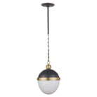 Regina Andrew - Otis Pendant - 16-1118BBNB - Canada Light Shop