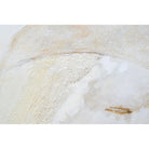 Renwil - Dimona Canvas Art - OL2123 - Canada Light Shop