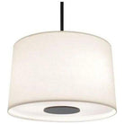 Robert Abbey - Echo Pendant - Z2179 - Canada Light Shop
