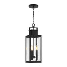 Savoy House - Ascott Outdoor Hanging Lantern - 5-827-BK - Canada Light Shop