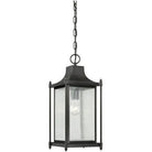 Savoy House - Dunnmore One Light Hanging Lantern - 5-3455-BK - Canada Light Shop