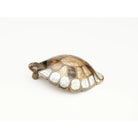 Schaub - Nature Turtle Pendant Pull - 864-MOP/ED - Canada Light Shop