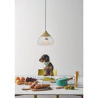 Seed Design - Mist Pendant Light - SQ-8997P-CRM - Canada Light Shop