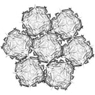 SLAMP - Veli 7 Suspension - VELSOVSBLK04T00000US - Canada Light Shop