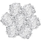 SLAMP - Veli 7 Suspension - VELSOVSCTR04R00000US - Canada Light Shop