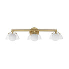 Studio M Lighting - Domain LED Vanity - SM31003CLNAB - Canada Light Shop