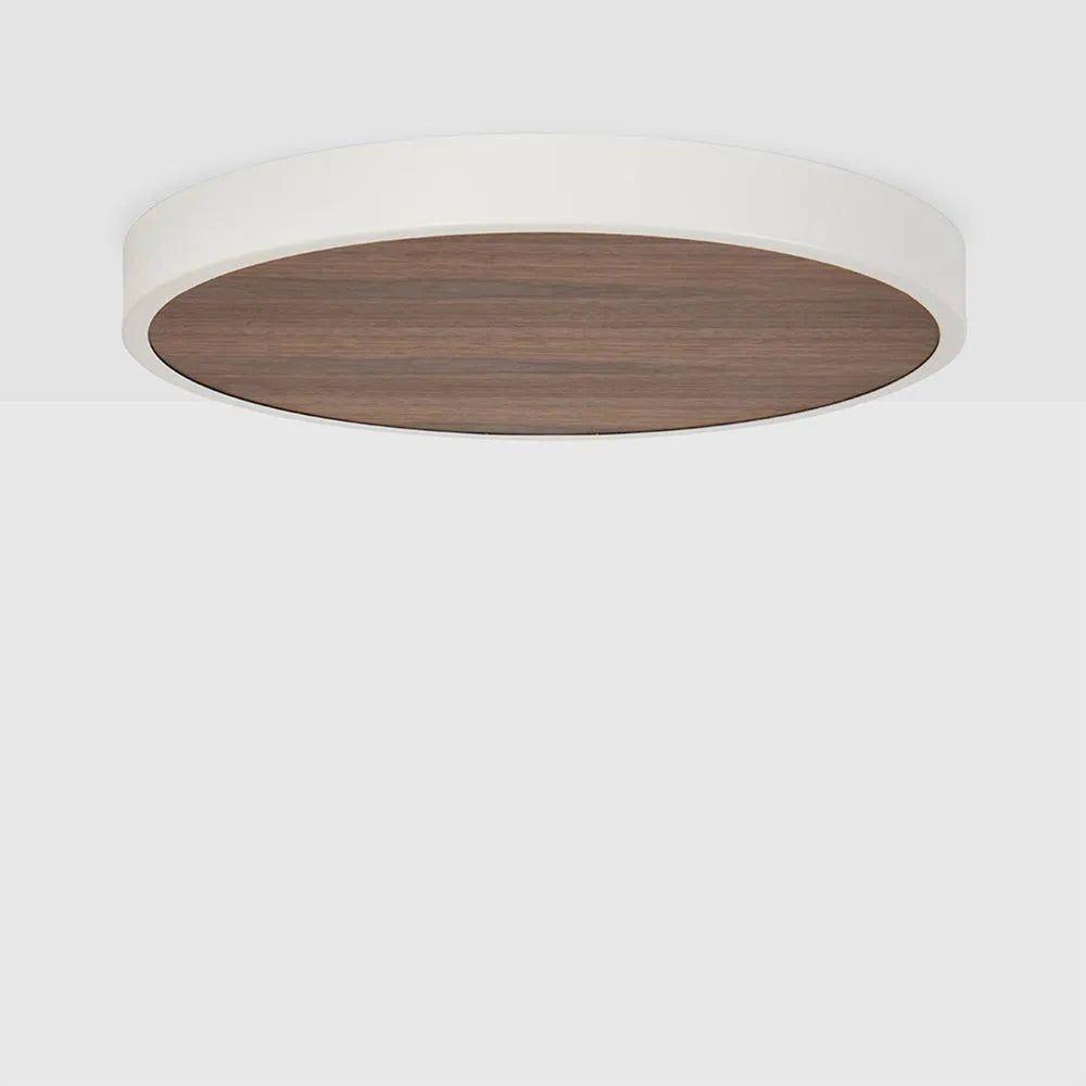 Tala - Large Canopy - CP-WALT-LRG-01-US - Canada Light Shop