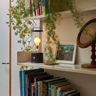 Tala - The Muse Portable Lamp - FB-MUSE-PBL-CW-01 - Canada Light Shop