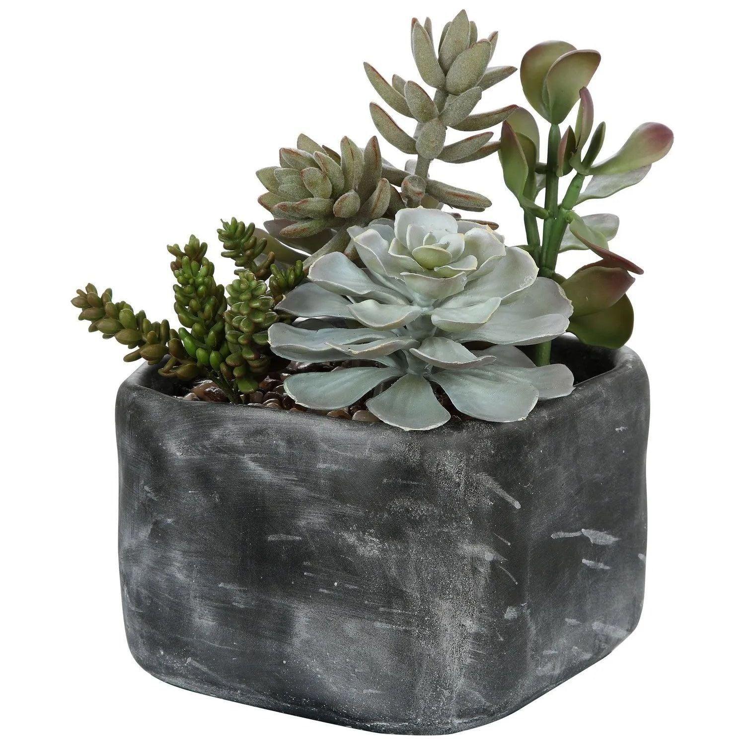 The Uttermost - Alverio Succulents - 60173 - Canada Light Shop