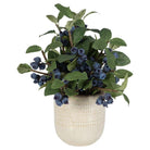The Uttermost - Blueberry Fields Accent - 60215 - Canada Light Shop