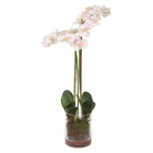 The Uttermost - Blush Orchid - 60196 - Canada Light Shop