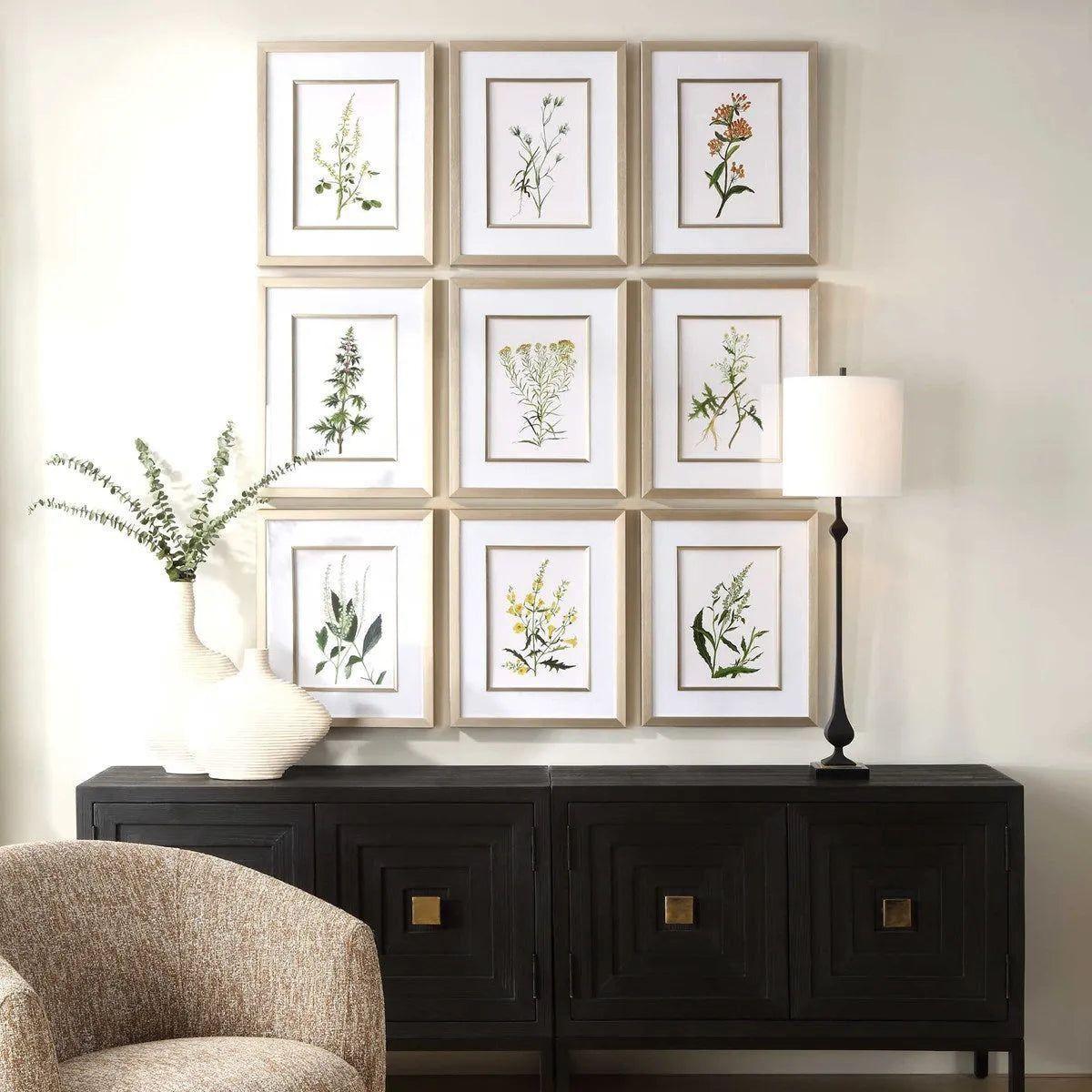 The Uttermost - Botanical Flowers Framed Prints, S/9 - 32339 - Canada Light Shop