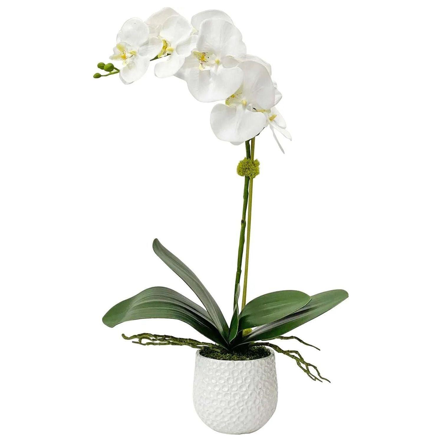 The Uttermost - Cami Orchid Orchid - 60178 - Canada Light Shop
