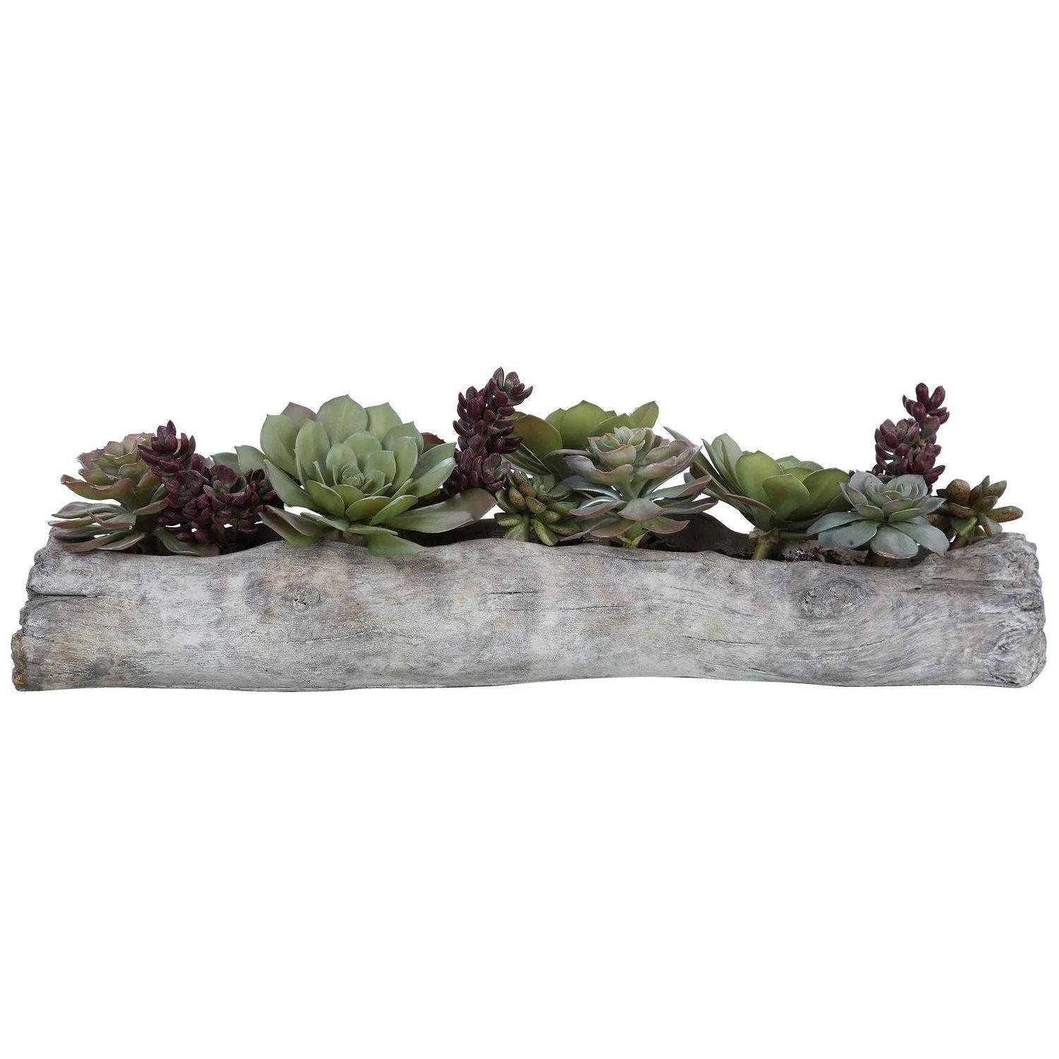 The Uttermost - Charita Succulents - 60174 - Canada Light Shop