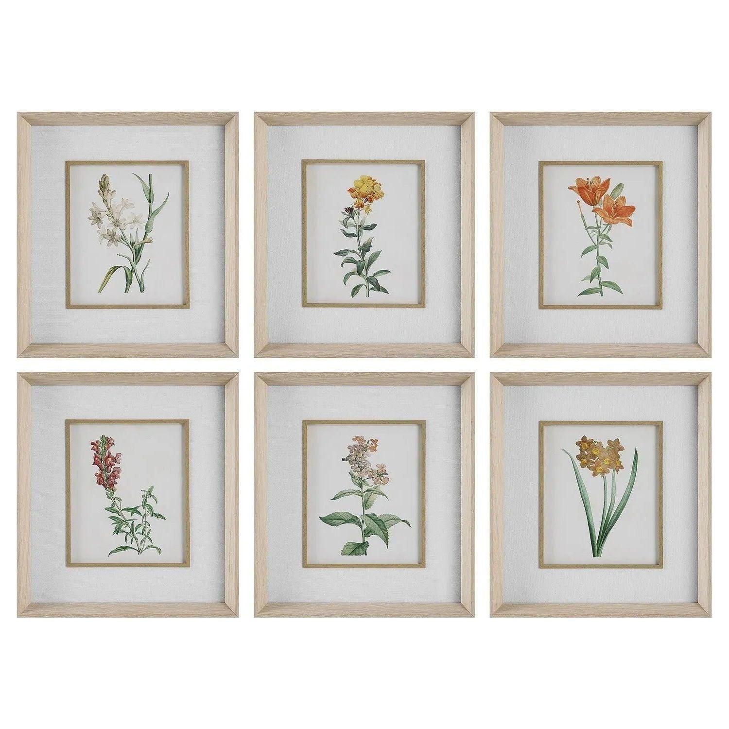 The Uttermost - Classic Botanicals Framed Prints Set/6 - 32284 - Canada Light Shop