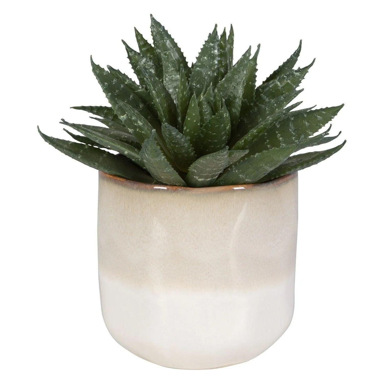 The Uttermost - Doha Succulent Accent - 60213 - Canada Light Shop