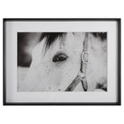 The Uttermost - Eye Of The Beholder Framed Print - 41463 - Canada Light Shop