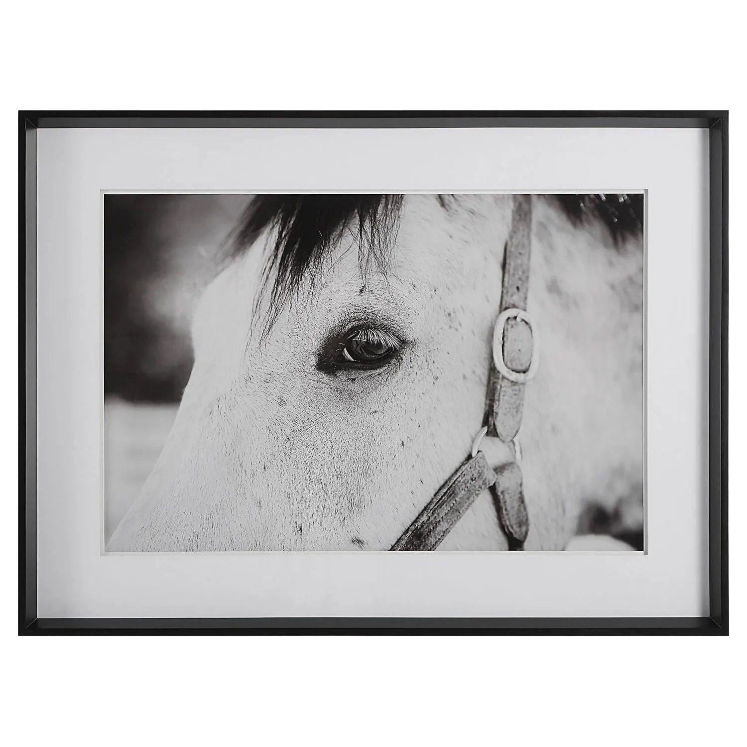 The Uttermost - Eye Of The Beholder Framed Print - 41463 - Canada Light Shop