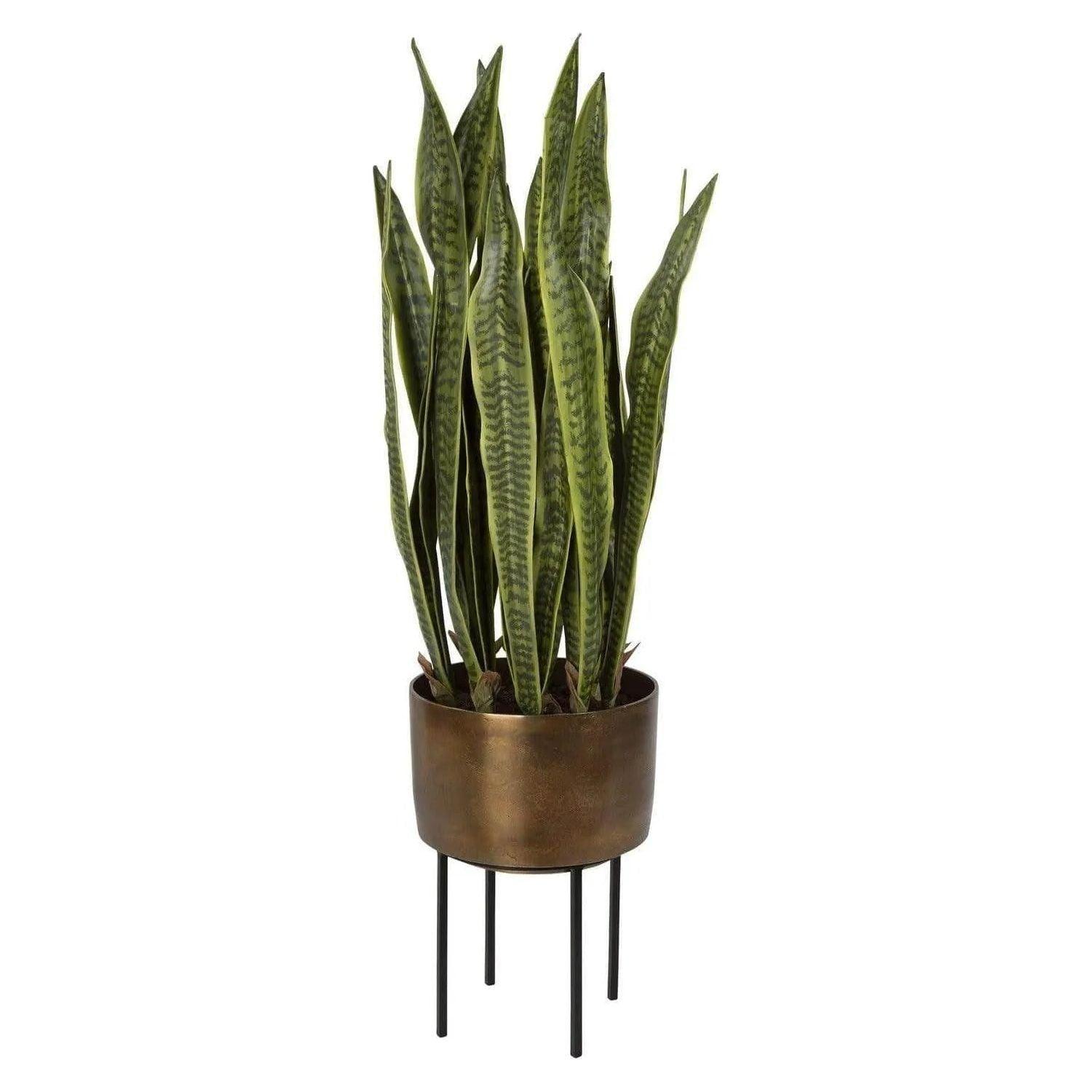 The Uttermost - FasitaPlanter 2 Cartons - 60185 - Canada Light Shop