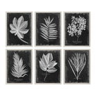 The Uttermost - Foliage Wall Art - 33671 - Canada Light Shop
