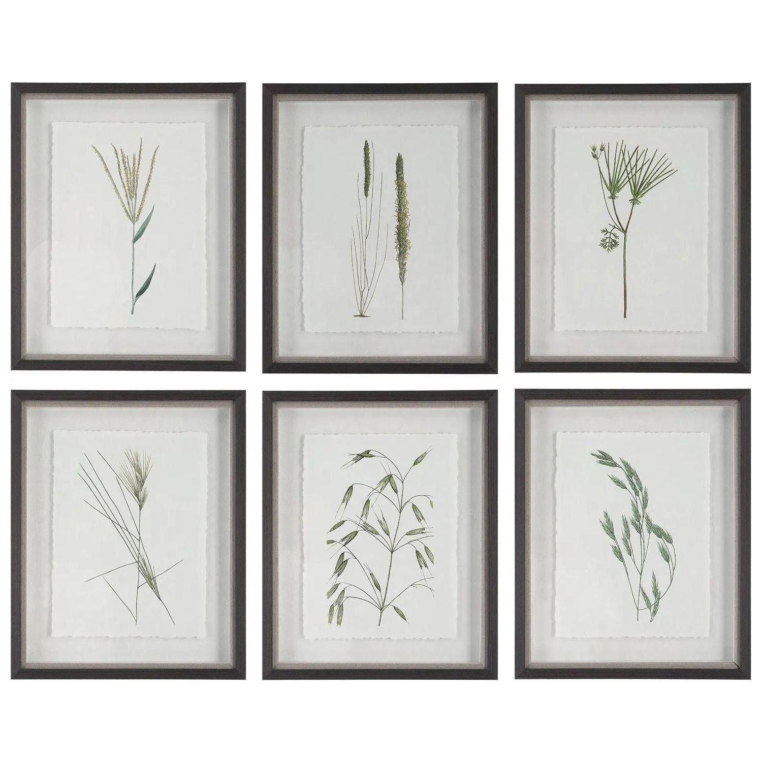 The Uttermost - Forest Finds Framed Prints, S/6 - 41459 - Canada Light Shop