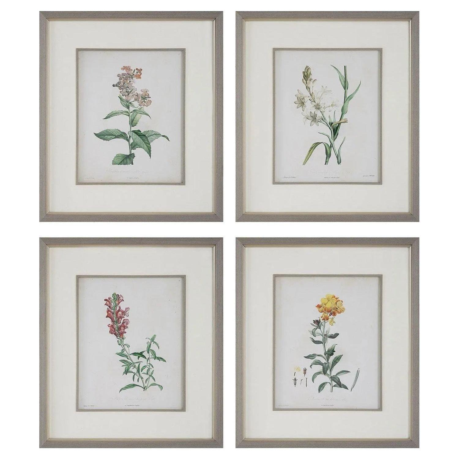 The Uttermost - Heirloom Blooms Framed Prints Set/4 - 32285 - Canada Light Shop