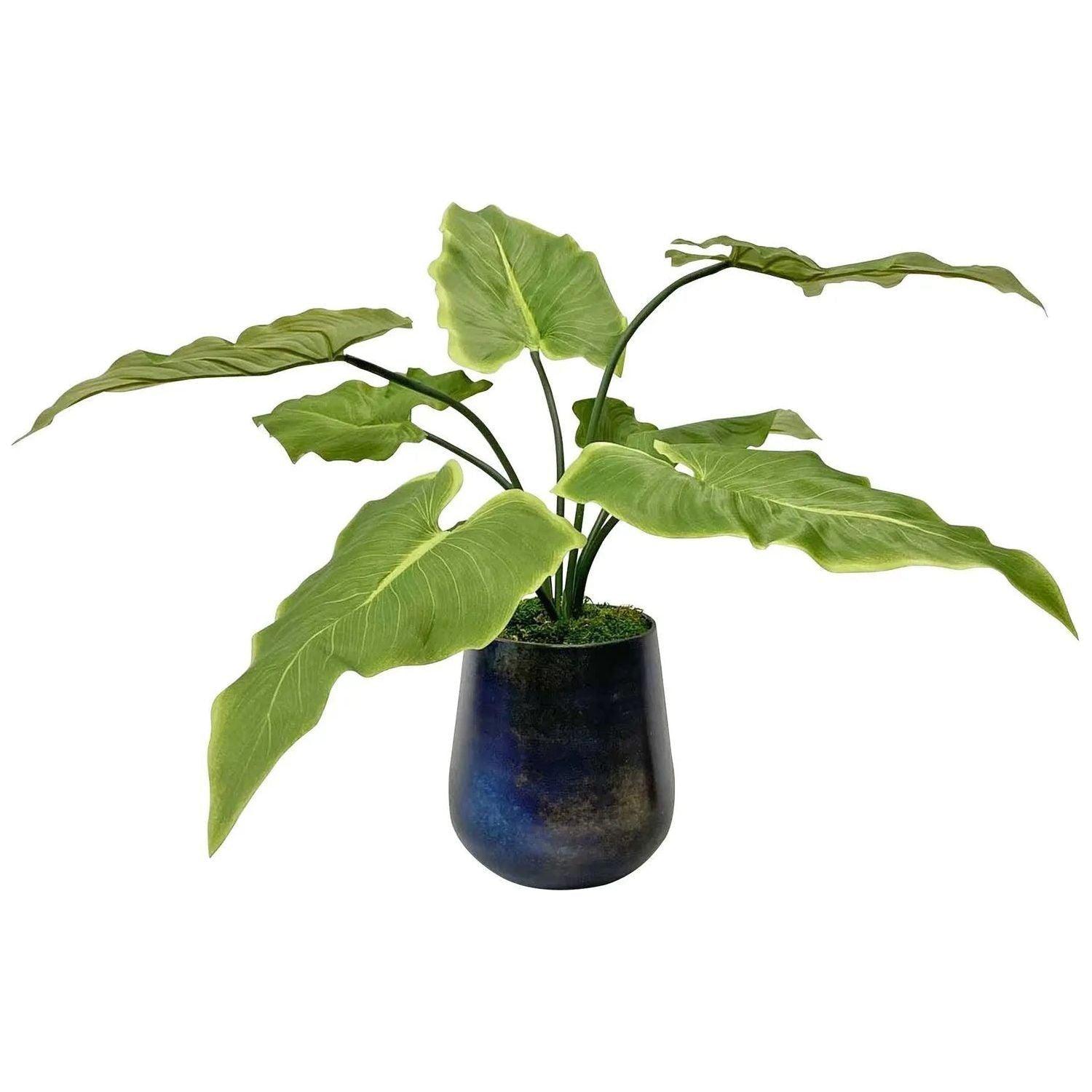 The Uttermost - Mari Calla Accent Plant - 60179 - Canada Light Shop