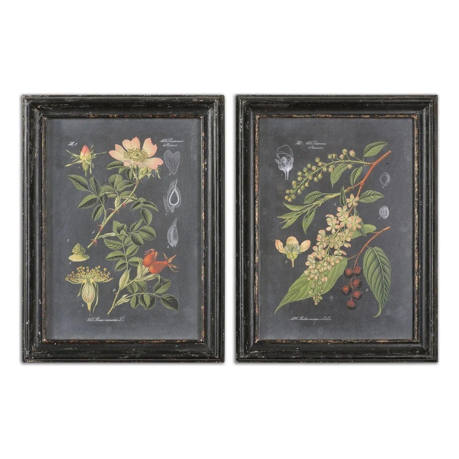 The Uttermost - Midnight Botanicals Wall Art - 56053 - Canada Light Shop