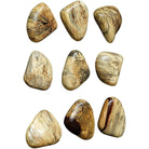 The Uttermost - Pebbles Wall Decor, Set of 9 - 04324 - Canada Light Shop