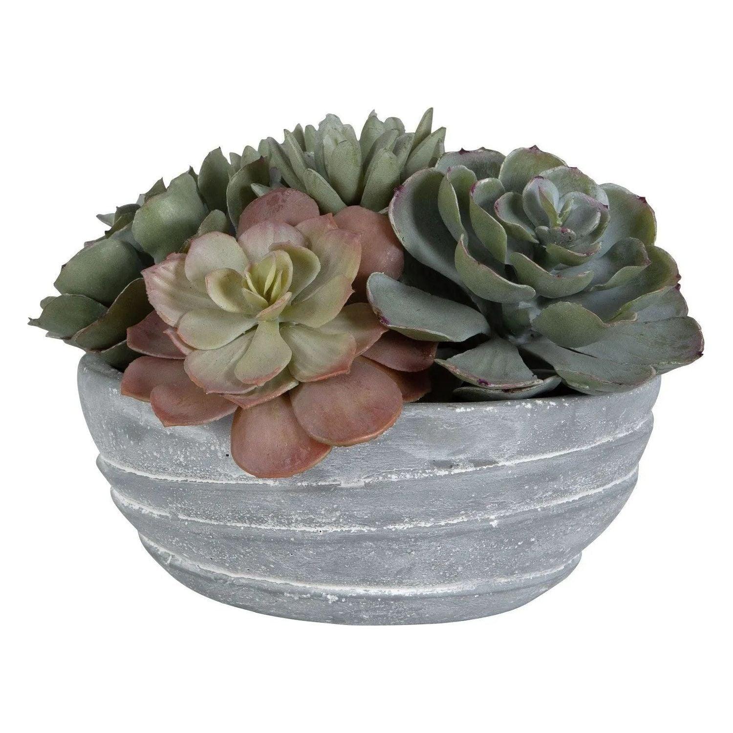 The Uttermost - Peoria Succulent Accent - 60212 - Canada Light Shop