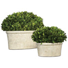 The Uttermost - Preserved Boxwood Preserved Boxwood Set/2 - 60107 - Canada Light Shop