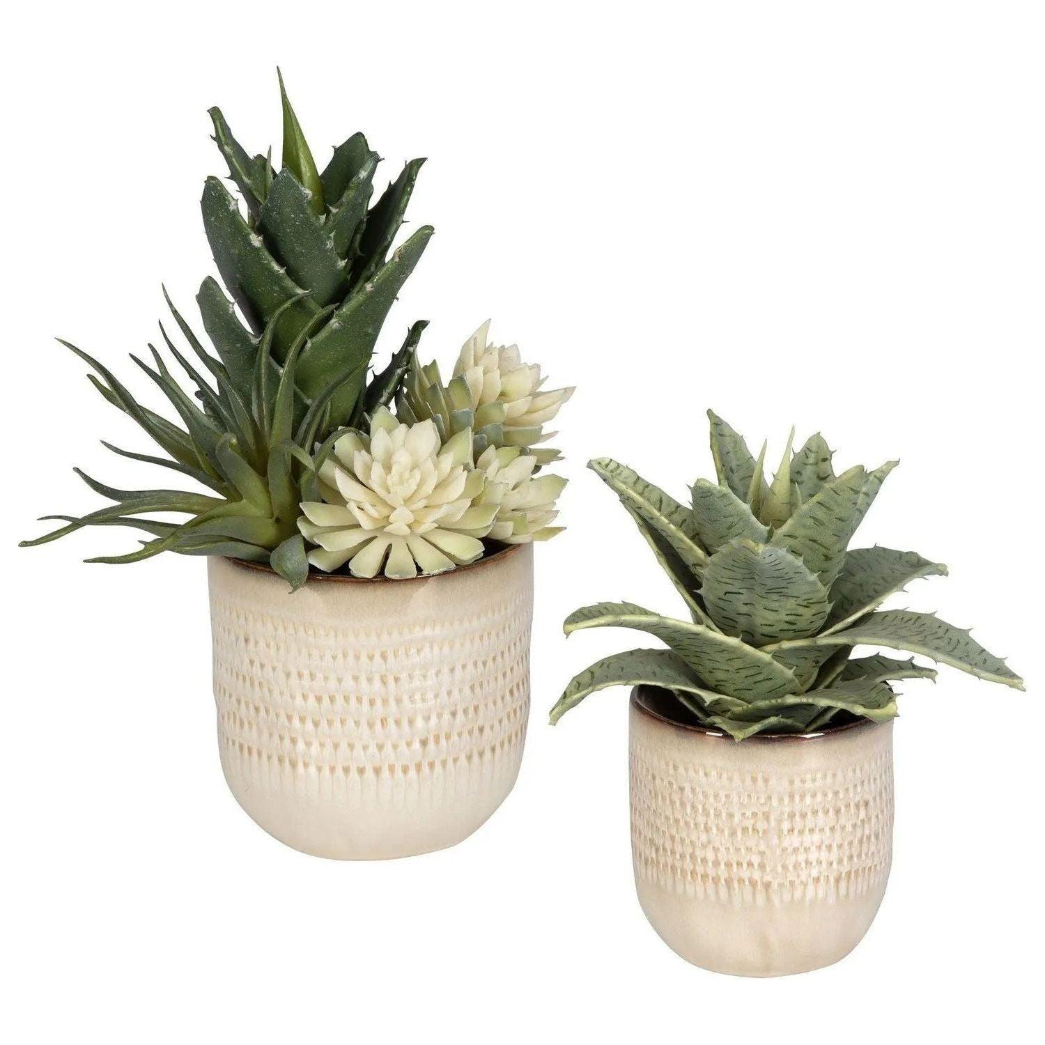 The Uttermost - Seaside Succulents Succulents, Set/2 - 60208 - Canada Light Shop