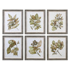 The Uttermost - Seedlings Wall Art - 33643 - Canada Light Shop