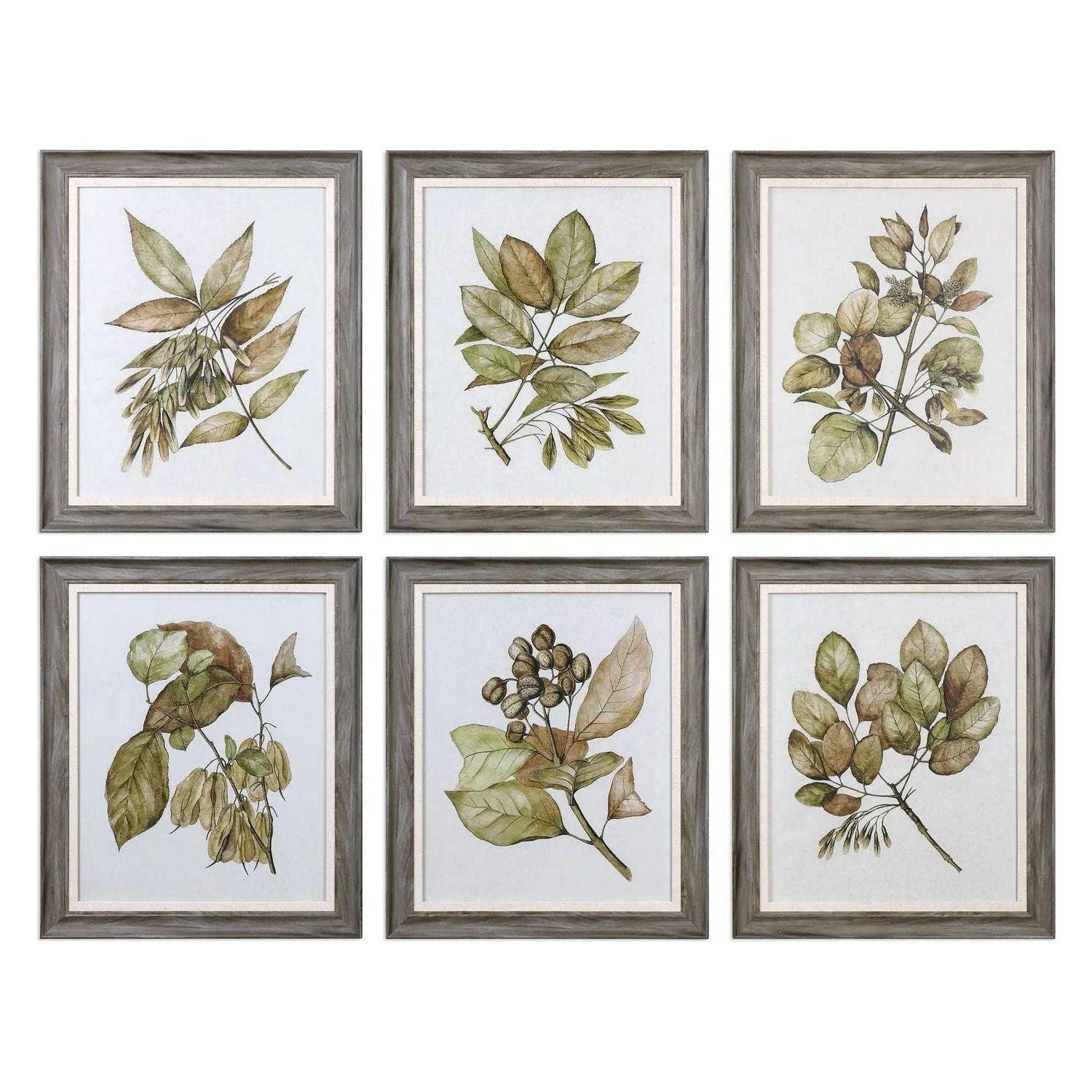 The Uttermost - Seedlings Wall Art - 33643 - Canada Light Shop