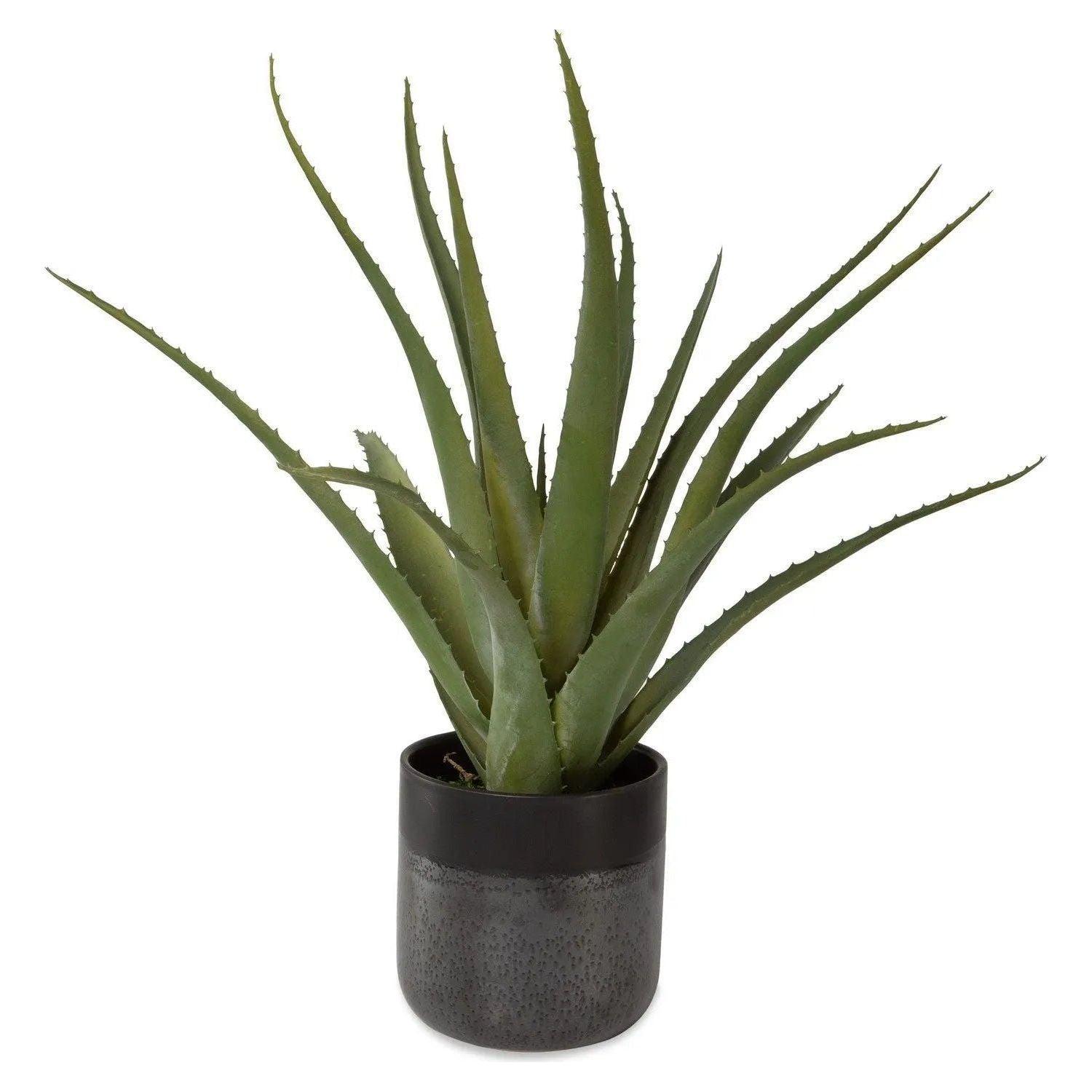 The Uttermost - Tucson Planter - 60204 - Canada Light Shop